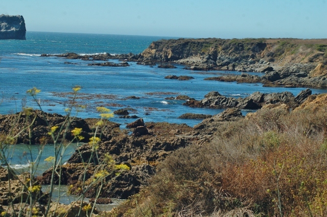 San Simeon coast